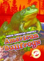 American_bullfrogs