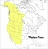 A_field_guide_to_western_trees