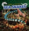 Sea_snakes