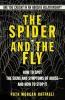 The_spider_and_the_fly