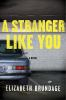 A_stranger_like_you