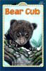 Bear_cub