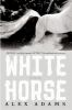 White_horse___1_