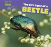 The_life_cycle_of_a_beetle