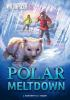 Polar_meltdown