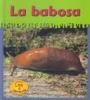 La_Babosa
