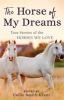 The_horse_of_my_dreams