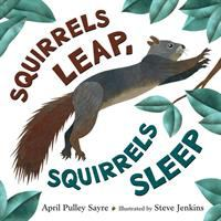Squirrels_Leap__Squirrels_sleep