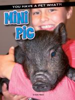 Mini_pig