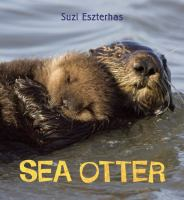 Sea_otter