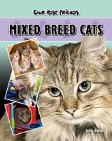 Mixed_breed_cats