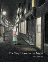 The_way_home_in_the_night