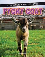 Pygmy_goat