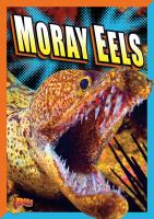 Moray_eels