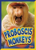 Proboscis_monkeys