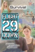 Flight_29_down___survival