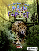 Find_it_in_a_Rain_Forest