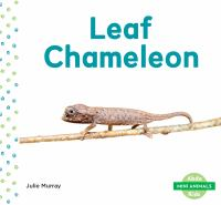 Leaf_chameleon