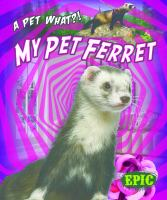 My_pet_ferret