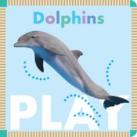 Dolphins_play