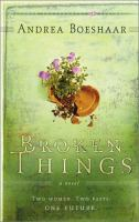 Broken_Things___Faded_Photographs_novel
